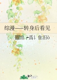 《综漫——转身后看见》